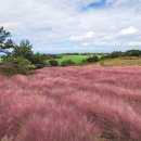 지전농장 이미지