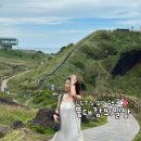 비너스 | 햇빛에탄 피부미백 케어 비타민화장품 인비너스 사용 솔직후기