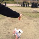 유림정수기 네이버블로그