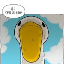 노란부엉이