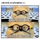 민세중학교 | 악법도 법이면 오답도 답 아닌가요