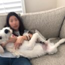 엠엔엔(주) 이미지