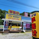 홍천강공인중개사사무소 이미지