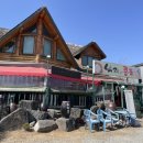 조치원_홍익대학교 정문 이미지