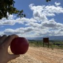 순례길 - 3일차 - 폰페라다(Ponferrada) → 비아프랑카 델 비에르소(Villafranca Del Bierzo) (31/08/2025)