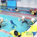 스위밍키즈 아카데미 이미지