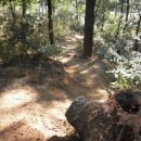 신길선사유적지 이미지