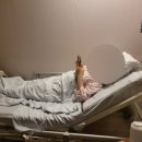 오월희망의원 이미지