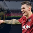 붉은황소 이미지