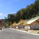 연천 한여울팜파크 글램핑장 이미지