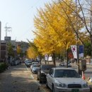 성북동길(문인) 이미지