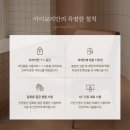 신아타운 | 신내동 속눈썹펌 잘하는곳 아이보리 신내점 솔직후기 :)