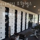 짐다이나믹 이미지