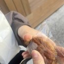 다소리과자점 이미지