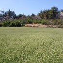 증도면사무소 이미지