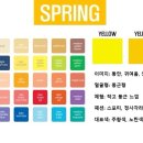 팔레뜨 네이버블로그