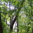 하늘아래첫집 이미지