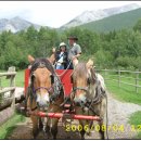 곰이 키우는 목장 이미지