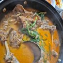 햇살마루 청둥오리 이미지