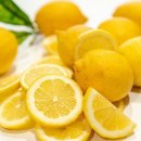 레몬 티스토리