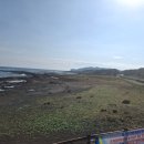 제주 사람발자국과 동물발자국 화석산지 이미지