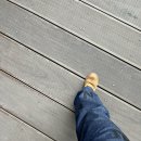 신사2-025 | 텅장기 ('24.06~'24.10)