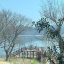 팔공산녹색길 숲길 1코스 | 재발견, 힐링 가득한 걷기 좋은 길 5선, 팔공산부터 도심 속 숨은 숲길까지 당일치기 트레킹 코스 추천