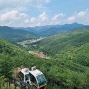 속리산농장 이미지