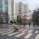 대명초교 이미지