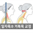 머슬브로짐 이미지