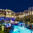 제주 할리데이 이미지