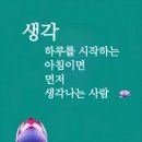 묘한하루 이미지