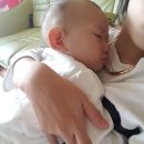 꽁냥이놀이터 이미지