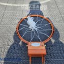 백석중학교 티스토리