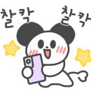 아기고래풀빌라B 이미지