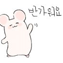 네추럴 팜 이미지