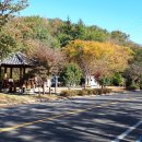 마골산화장실 이미지