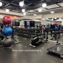 모토원(MOTTO 1) | 뉴욕 숙소 추천 | 뉴욕 타임스퀘어 도보 2분 호텔 모토바이힐튼 4박 후기