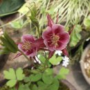 룸비니유치원 이미지