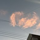 [이농일상] 날이 좋아지는듕☁️💙