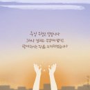 소피아카페