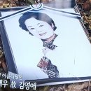 김영애 4월의 떨어지는 벚꽃잎따라 멀리 멀리 떠났다 ! 이미지