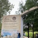 남면도서관 | 태안 가볼만한곳 청산수목원 입장료 팜파스 핑크뮬리