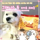 그래니스 | 강아지 성분좋은 오래먹는 간식 추천 수제간식 그래니스 독 터키츄 프레즐 솔직 후기