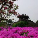 하모니카 연주 이미지