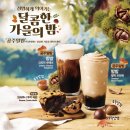 밤밤 티스토리