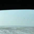 GR(서천군)-[충서로]-하-1 | [ 3,4월 국내여행 추천 ] 충남 서천 가볼만한곳 | 2023 서천 동백나무숲 동백꽃•쭈꾸미 축제 후기...