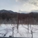 구상나무 화장실 이미지