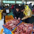 동해-단속-10 이미지