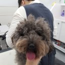 예민한 미선생